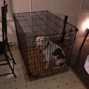 Meet your Posher, Brandi